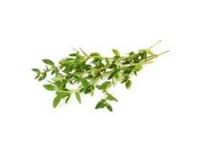 thyme