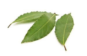 Bay leaves