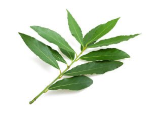 Bay leaves recipe