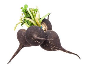 Black radish