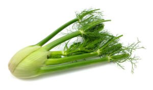 Fennel