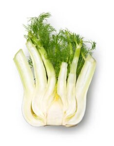 Fennel benefits