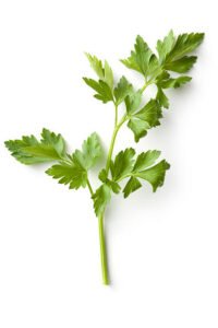 Parsley recipe