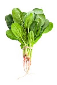 Spinach nutrition