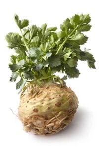 celery root recipe