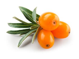 Sea buckthorn benefits
