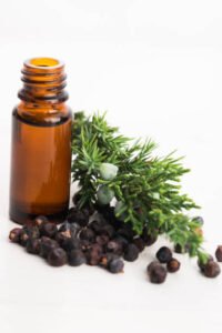 Juniper Berry Essential Oil