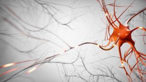 Nervous System Disorders