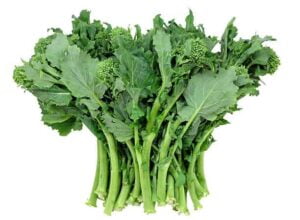 Rapini
