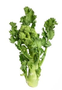 rapini recipe