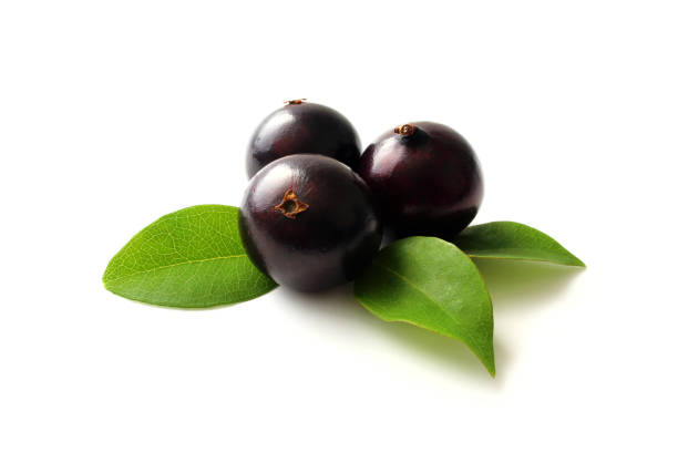 Jabuticaba