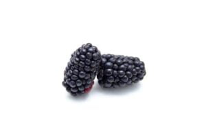 Boysenberries nutrition