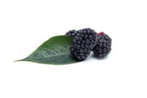 Boysenberries recipe