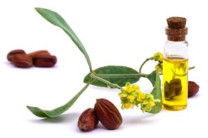 Jojoba Oil