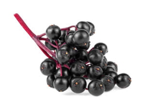 Elderberries benefits