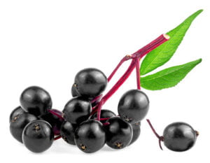 Elderberries benefits
