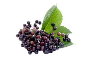 Elderberries nutrition