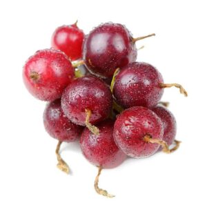 Josta berries benefits