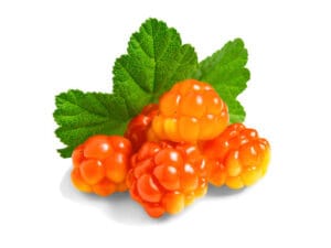 cloudberries benefits