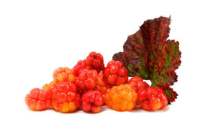 cloudberries recipe