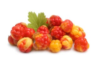 Cloudberry Benefits