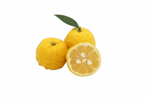 yuzu contains