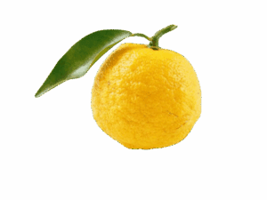 Yuzu benefits