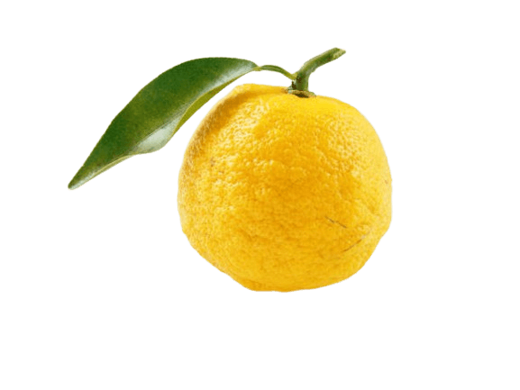Yuzu
